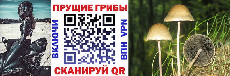 Псилоцибиновые грибы мицелий  Шарья 